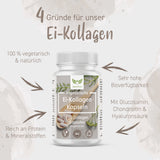 Ei-Kollagen