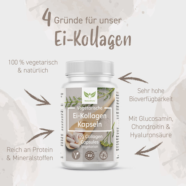 Ei-Kollagen