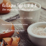 Ei-Kollagen