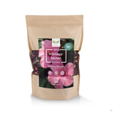 Hibiskusblüten Tee