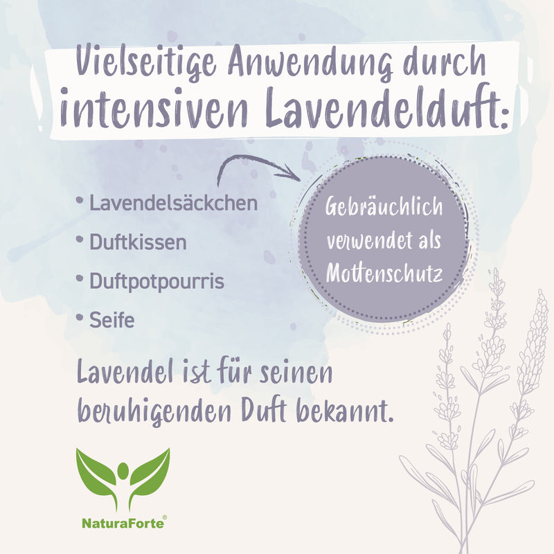 Lavendelblüten