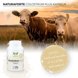 produktbild-08_colostrum-kapseln_120stk_1200x1200_lifestyle_in-useLbSLBDURgzAnq